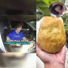 Cops Pull Over FUNNIEST Tweaker 😂