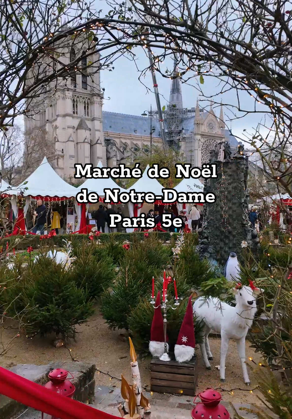 Marché de Noël de Notre-Dame Paris 5e #paris #paris5 #notredame #marchedenoel #visiteparis #notredamedeparis 