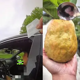 18 year old gets pulled over for speeding and not having a license plate 🤯😳
