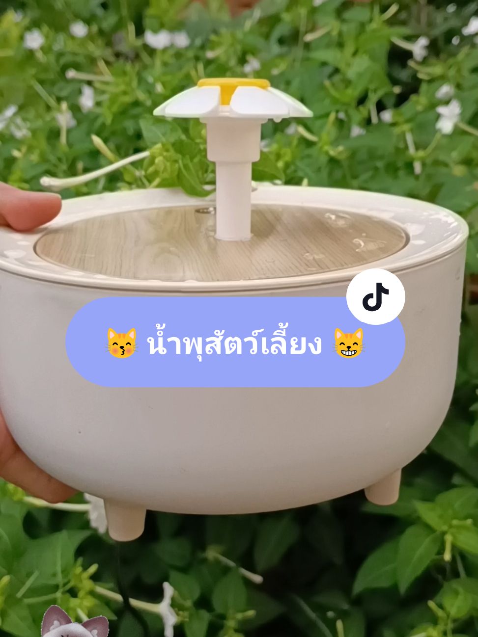 กดสั่งที่ตะกร้าเหลืองเลยจ๊ะ #น้ําพุแมวมินิมอล  #TikTokLooks #TikTokป้ายยา #TikTokShop #นายหน้าTikTok #TikTokuni #กระต่าย ตื่นตูม 🌸