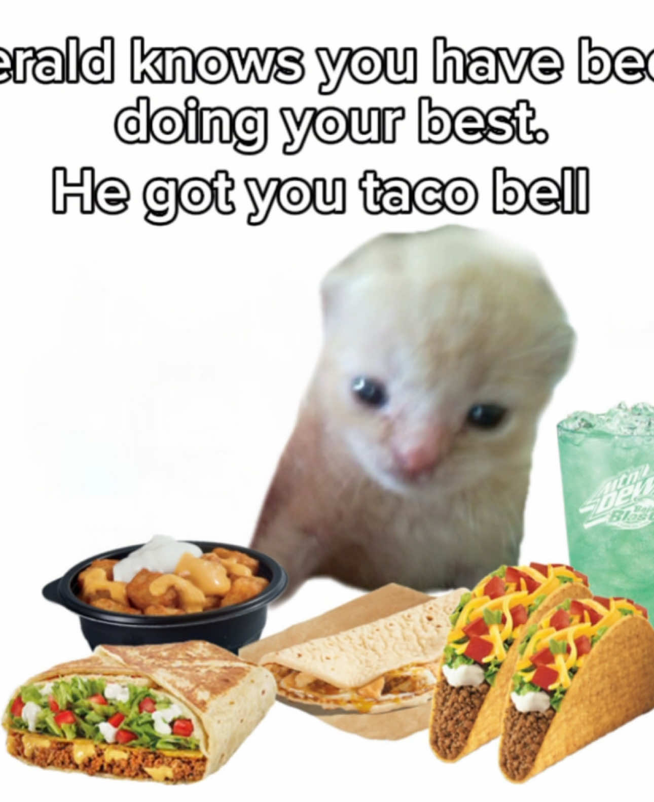 Jerald is a taco bell lover btw  #tacobell #taco #flatbread #crunchytaco #bajablast #fypforyou #jerald #foryou #fastfood 