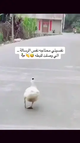 #😂😂😂 #الشعب_الصيني_ماله_حل😂😂 #ترندات_تيك_توك #رياكشنات #طقطقه_ضحك_مقاطع_وناسه😂😜 #fyp #رياكشنات_مضحكه 