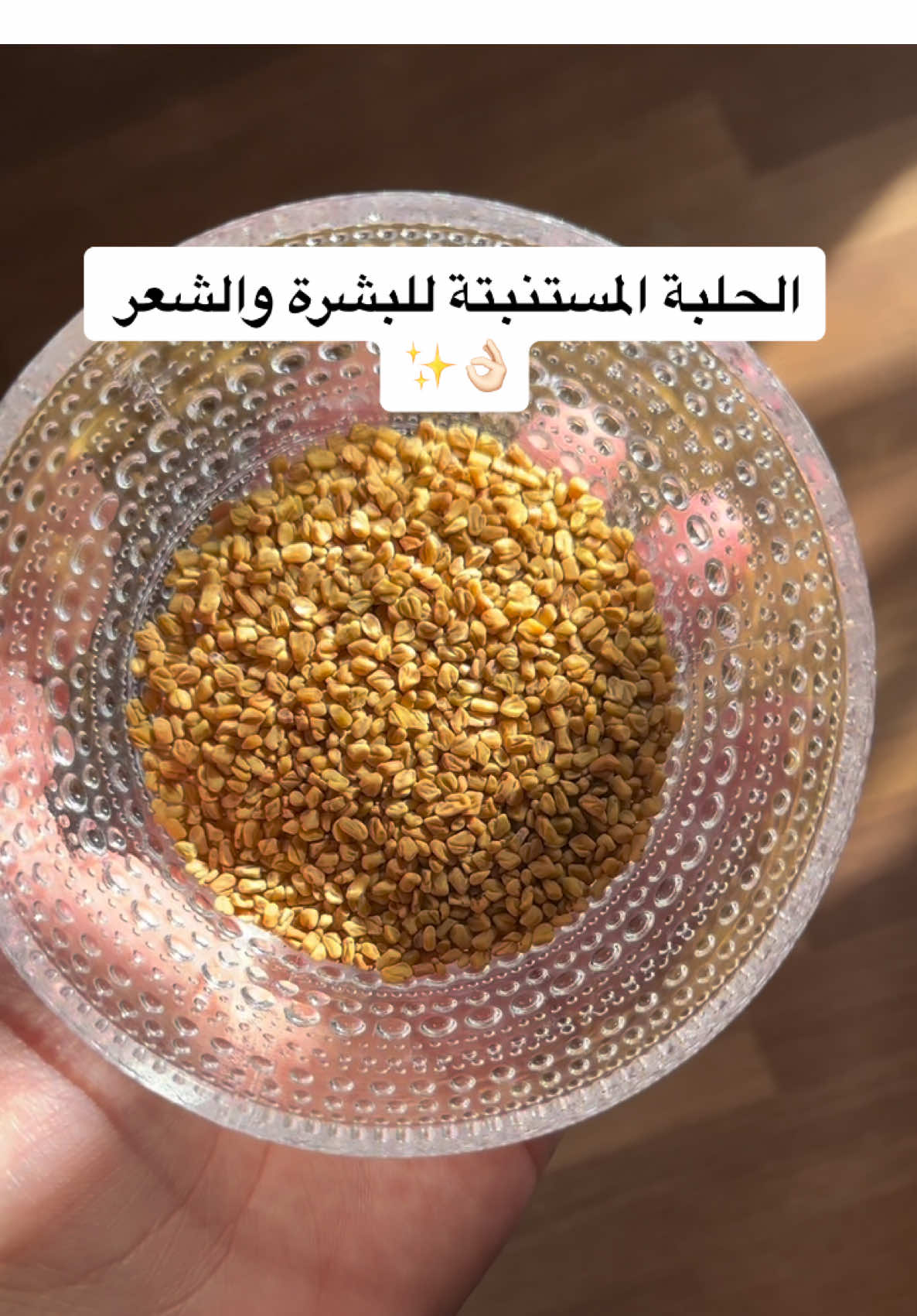 راح نسوي فيها ماسك للشعر والبشرة وبدون ريحة ✨ #حلبة #استنبات_الحلبه #تجارب #استنبات #تجربة #ترند #تحدي #عناية #ماسكات #اكسبلور #explorepage #exploremore #expression #challange #trend #exp 