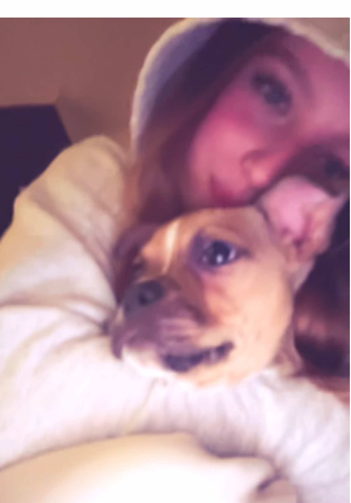 puppyyy #cute #baby #babysitting #foryoupage #puppy #hoodie #fyp #viralvideo #dog #dogsitting #ilove 