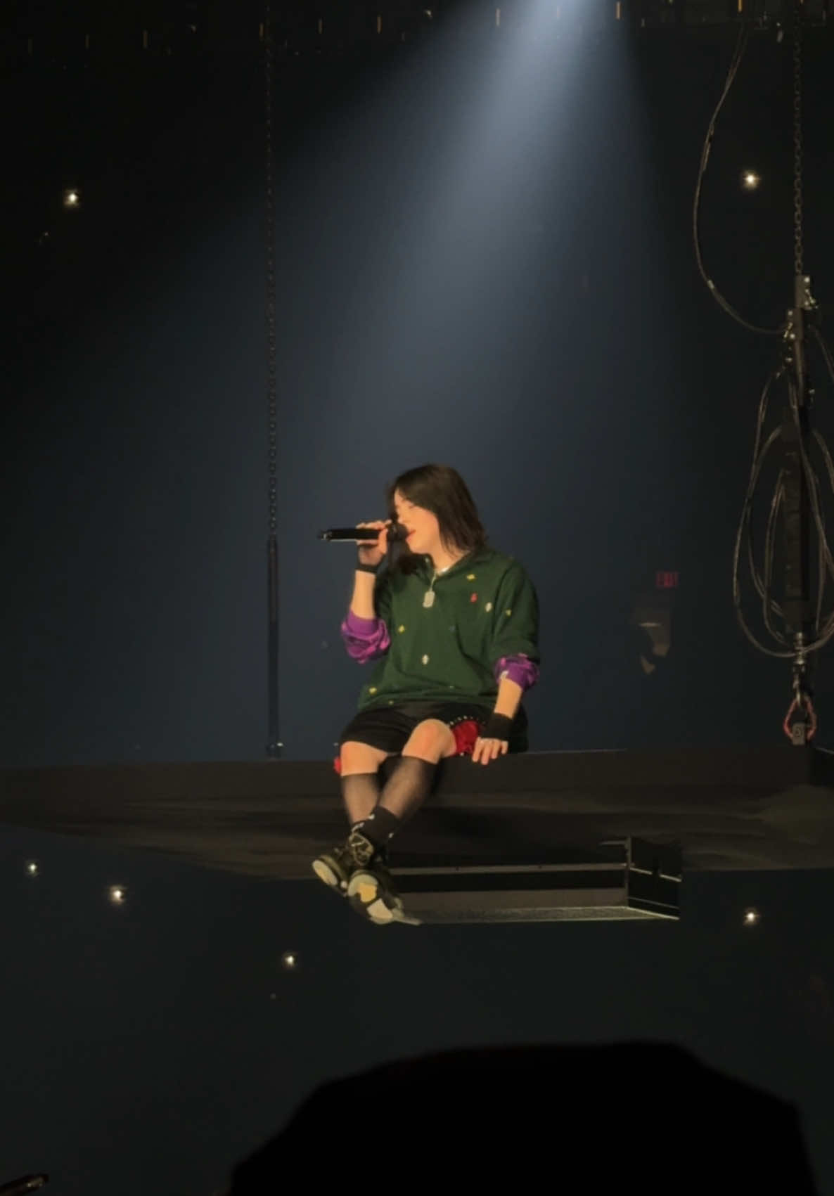 billie eilish. “the greatest.” hit me hard and soft tour. cincinnati (2024). #fyp #concert #billieeilish #hitmehardandsofttour #hitmehardandsoft #thegreatest 