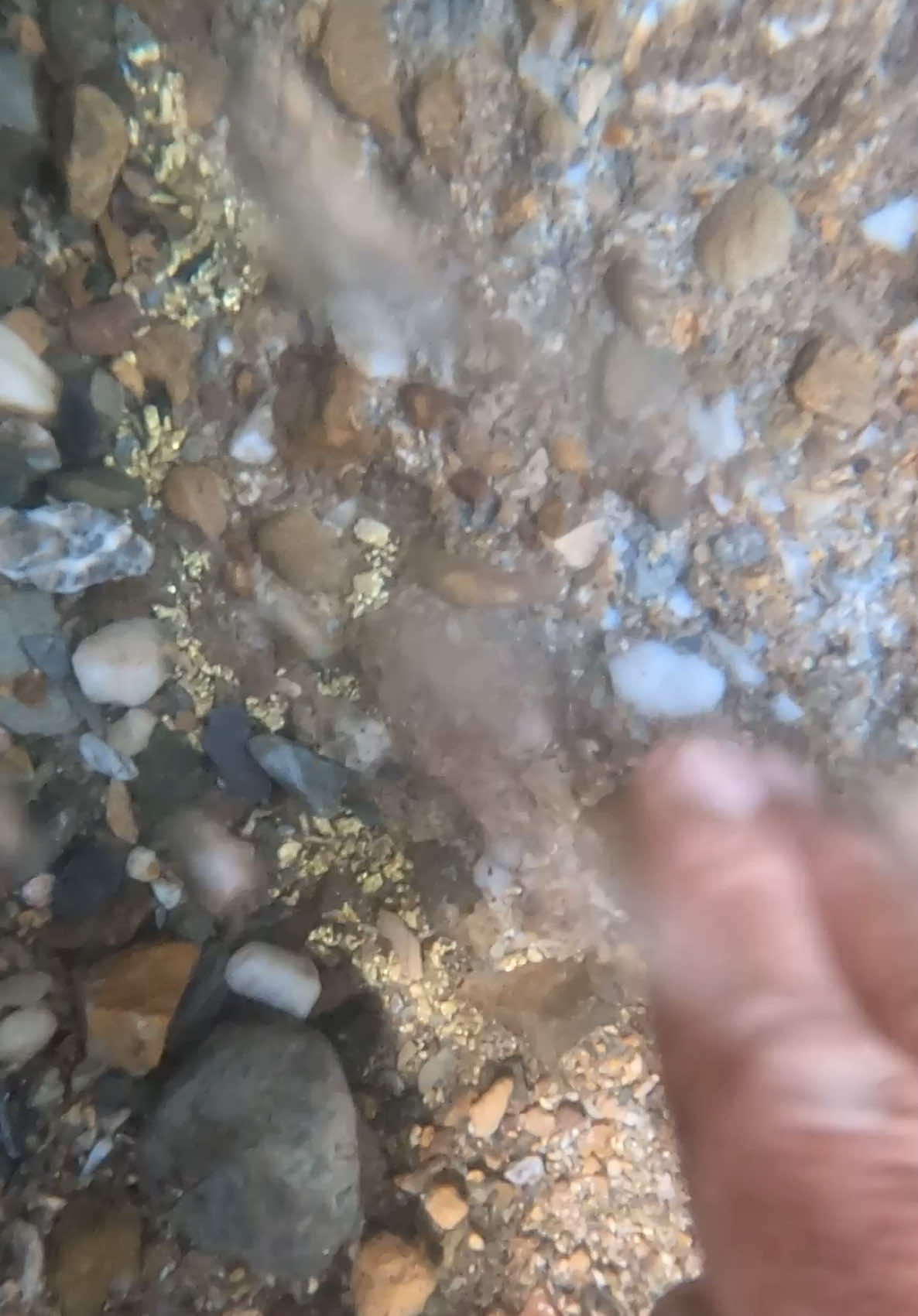 Discovery of a lot of gold dust under water 😱😱😱 hopefully we will all be given sustenance like this 🤲🤲