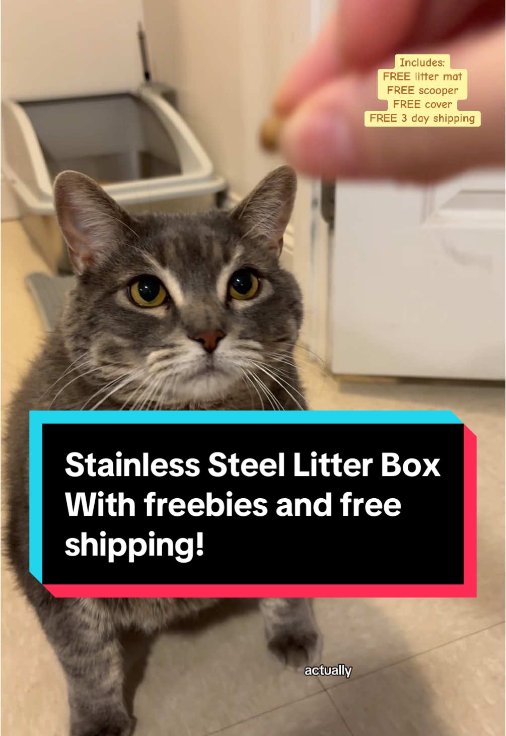 I wish I had found this litter box sooner. I couldn’t stand my automatic litter box any longer because no matter how many times I scrubbed it, it still smelled. The hassle of taking it apart and putting it all back together was a headache. This stainless steel litter box is a DREAM.  Huge discount on it right now, three freebies and free shipping!  #AIPERRO #litterbox #stainlesssteellitterbox #catlitter #catlover #bacteria #plasticisbad #catsoftiktok #catlife @AIPERRO 