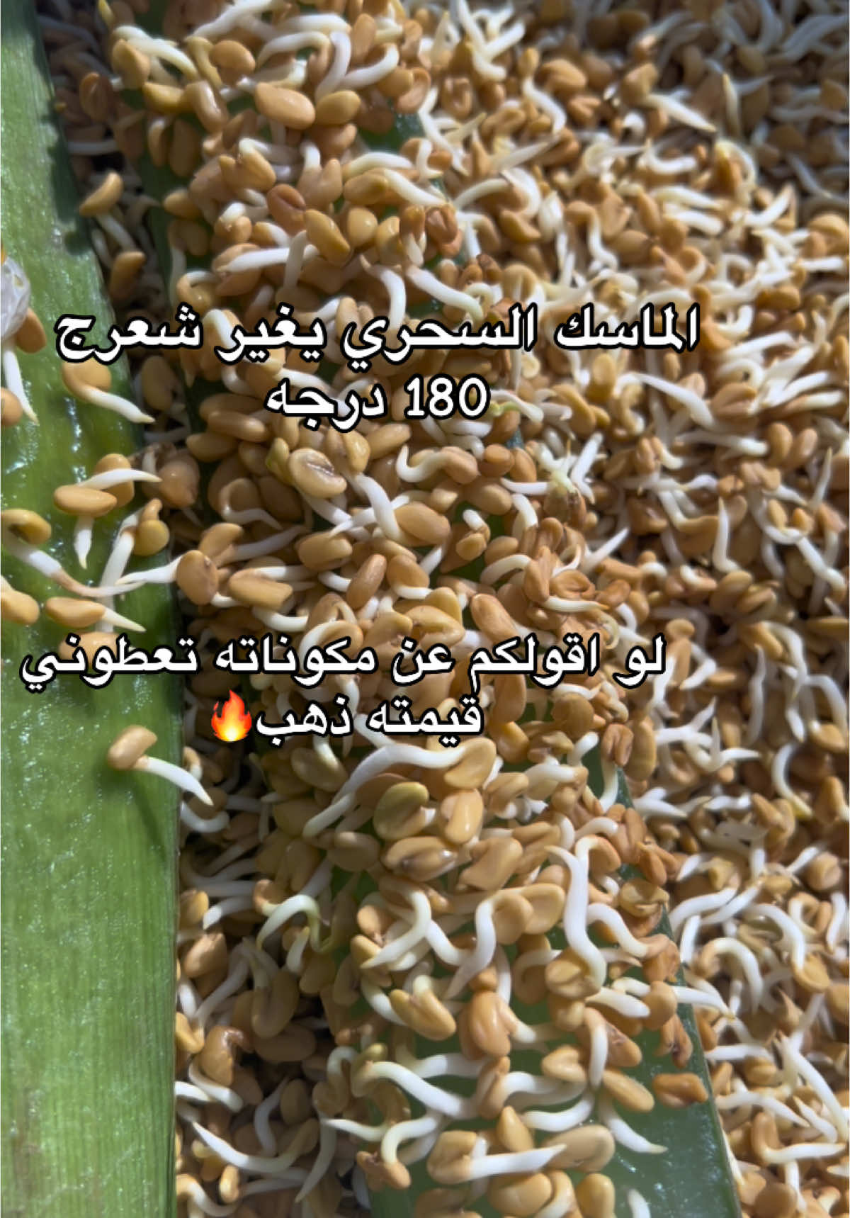 استخدميه شهرين واضمن لج نتيجه ترضيج♥️ #الكويت🇰🇼 #مالي_خلق_احط_هاشتاقات #الشعب_الصيني_ماله_حل😂😂 #لايكات 