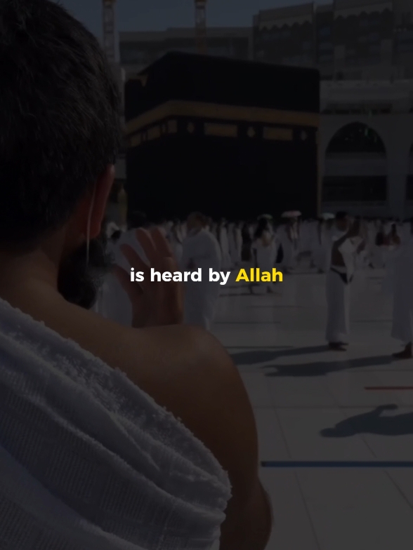 Every Dua is heared by Allah ✨🥰 #muftimenk #trustallah #alhamdulillah❤️ #islamic_video #trending #fyp #muftimenkvideos 