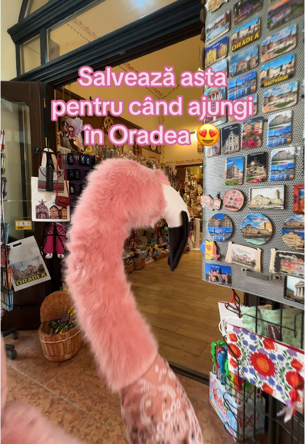 Ți-am făcut un tur de o zi în Oradea (cu pauza de Rosé Verité inclusă 🩷🥂) #365deziledevara #LaVidaEnRose #flamingointurulromaniei #funny #romania #oradea #idei 