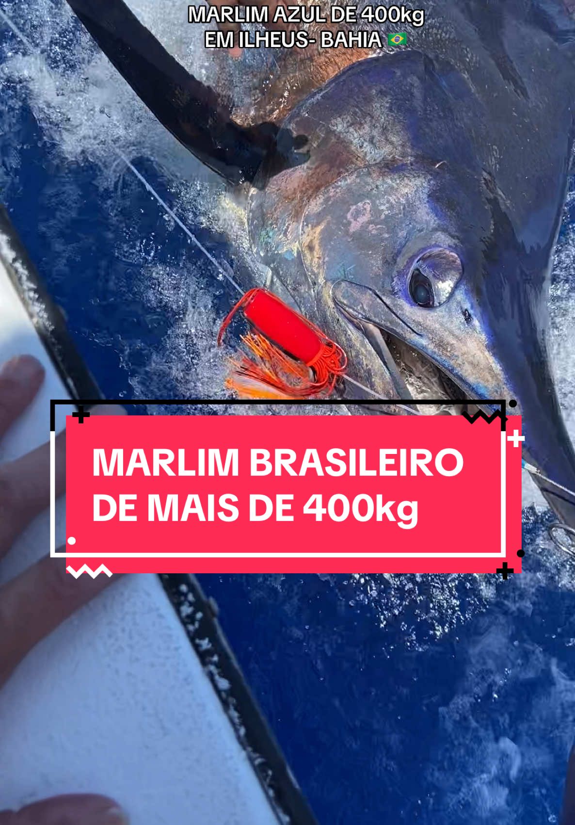 A Bahia é o berço dos maiores peixes do mundo. A pesca oceanica no Brasil só ganha mais força a cada ano. Siga para mais videos.  #pescaria #pesca #foryou #foryourpage #fyppppppppppppppppppppppp #viral #fyp #videosdepesca #fish #fishing #sea #bluemarlin #marlimazul #fypage #videosdepescaria #ffpesca