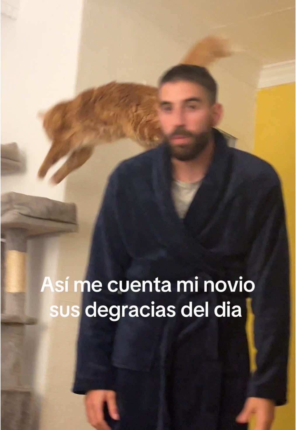 Gracias Sr. Bigotes por escuchar a papá cada día 🙂‍↕️🩵 #speechtherapy #therapy #catoftiktok #kitty #gatos #gatosdetiktok #fyp #orangecat #chillguy #trending 