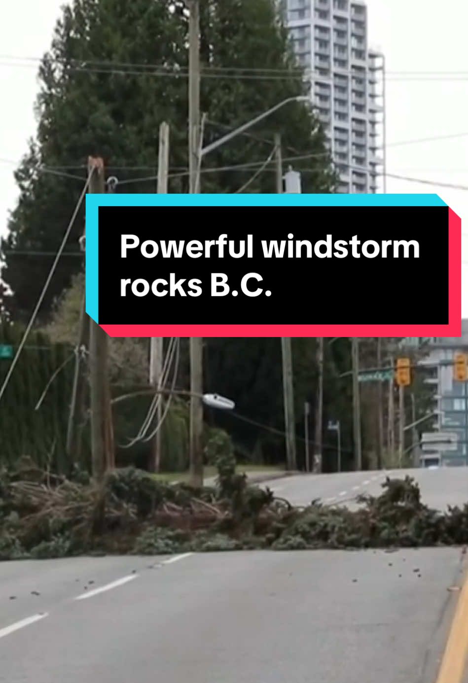 Strong winds brought high tides to the province, leading to ferry cancellations. In Surrey, police say a woman was injured by a falling tree and later died. The storm also knocked out power to more than 250-thousand homes and businesses the province’s western coastlines.  For more, go to CP24.com #cp24 #cp24news #windstorm #extremeweather 