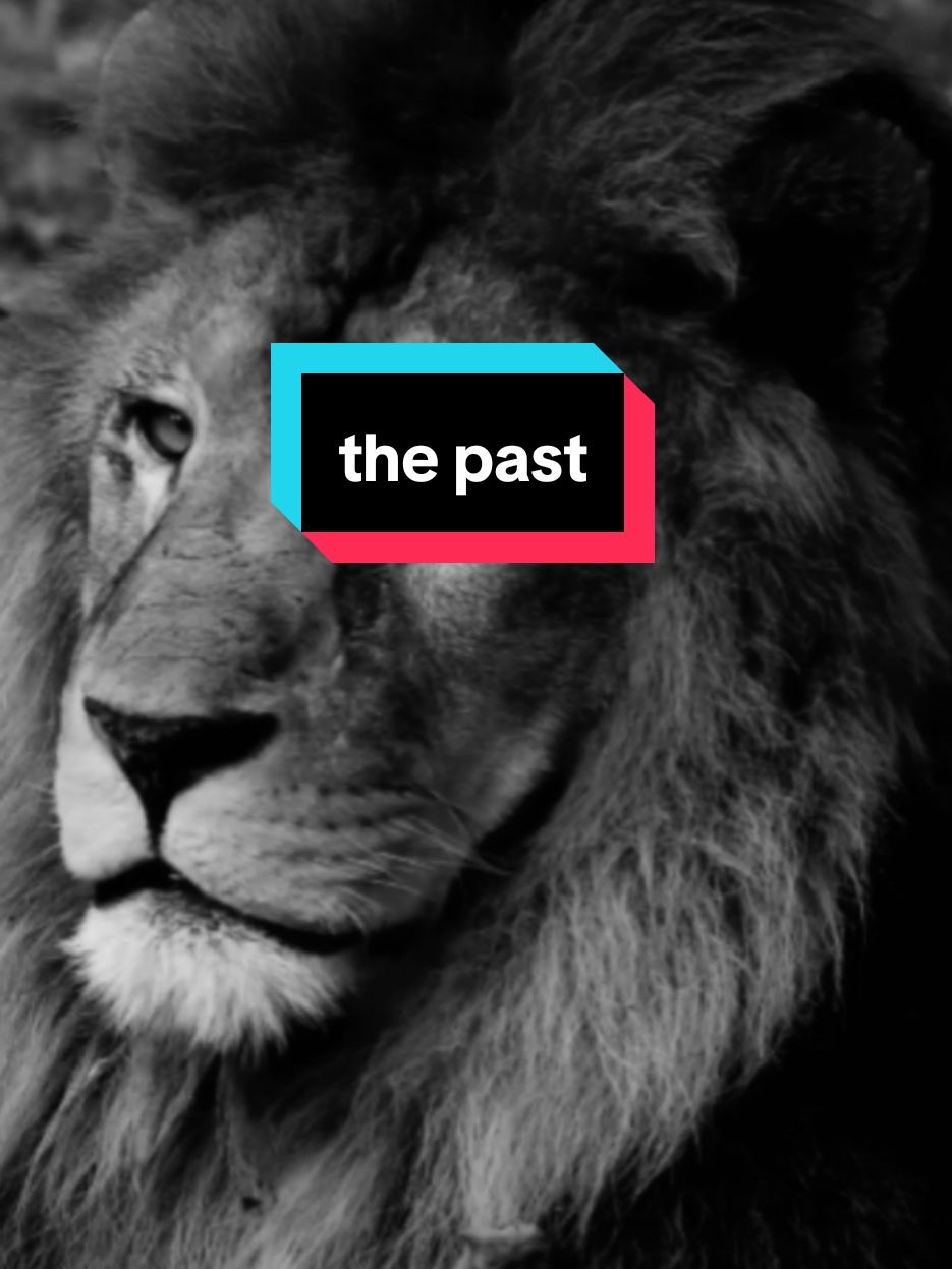 وراء كل شخصية قوية ماضي لا يرحم Behind every strong personality is a ruthless past #اقتباسات#حالات_واتس #تيك_توك#اكسبلور #ترند#عبارات #motivation #motivationalquotes #motivationmonday #motivationalvideo #explore#pourtoii #fyp #viral_video #tiktok #newtrend #treanding#tiktoklongs #السعودية #العراق #سوريا #الاردن#المغرب#الجزائر#ليبيا#لبنان #قطر #البحرين #تونس #الامارات #الكويت #فرنسا #فوريو #france#italy #عمان #خواطر 