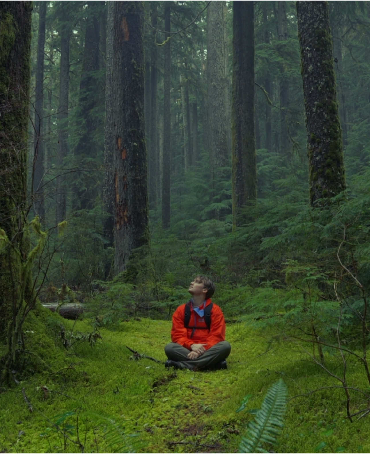 Wandering around the PNW.. #travel #explore #cinematic #pnw #sonyalpha 