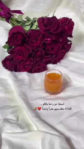 #أبحثوا عن راحة بالكم♥️. #عام_جديد #CapCut #إكسبلور👌 #أكسبلور_تيك_توك🌹🌹nora_norica 