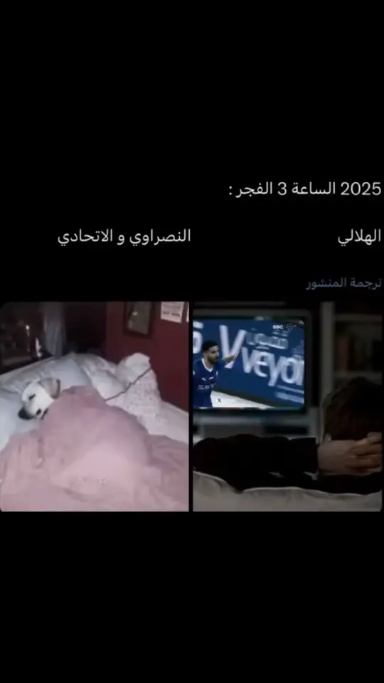 #الكوول_لعبتي #الهلال💙💙💙اكسبلور #كويلار_مهوس_فيني🤍🔥🇨🇴🤦 #الهلال💙💙💙 #الهلال💙💙💙ا #كويلار_قطاع_الطرق🇨🇴💙 #الهلال_العالمي_كبير_اسيا #الرقيب__سافيتش🇷🇸 #الهلالي #الهلالللل💙💙💙💙💙💙 #الهلال_العالمي💙🤙 #نيفيز_مرجله #كويلار_مرجله 