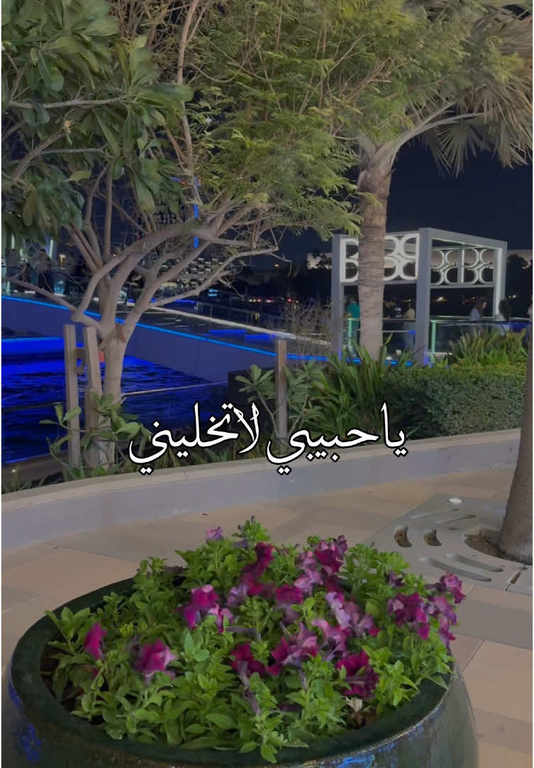 شيلت الشتاء 🥹❤️ #شيلات_ياسر_الشهراني #قربك_دفا #البحرين 