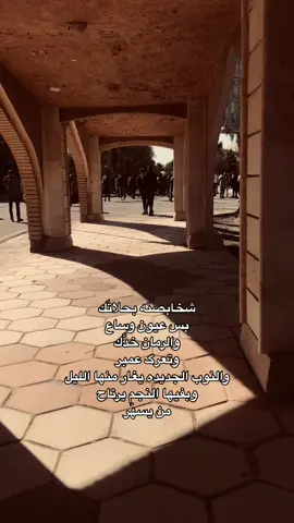 شخابصنه بحلاتك؟.#explor #npr #شعر_عراقي #fypシ゚viral#الشاعر_حمد_الدوخي 