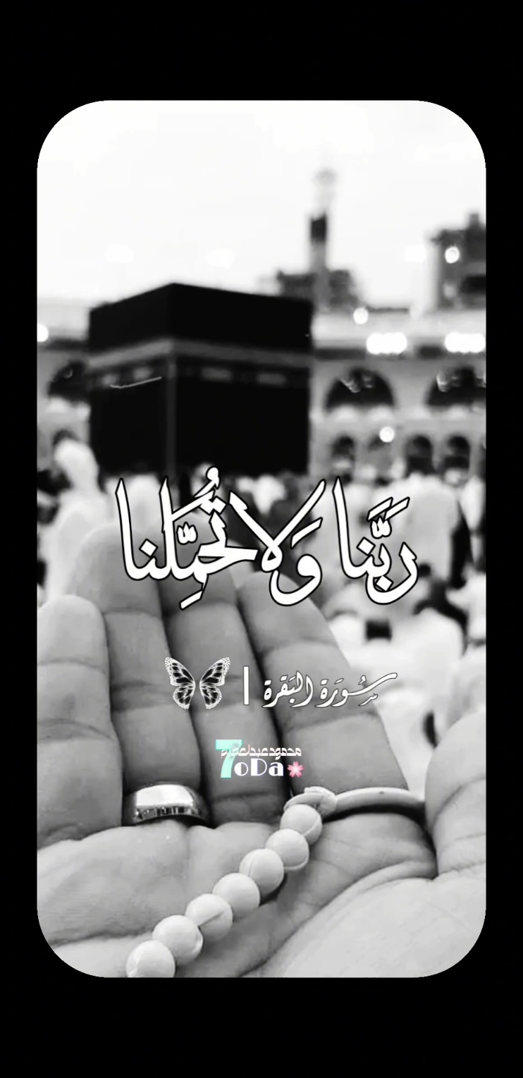 ايه التلاوة العظمة دى انه الشيخ محمود الشحات انور ♥️  #ربنا_ولا_تحملنا_ما_لا_طاقة_لنا_به #الشيخ_محمود_الشحات_انور #تلاوة_خاشعة_صوت_يدخل_قلب #سورة_البقرة #تبارك_الله 