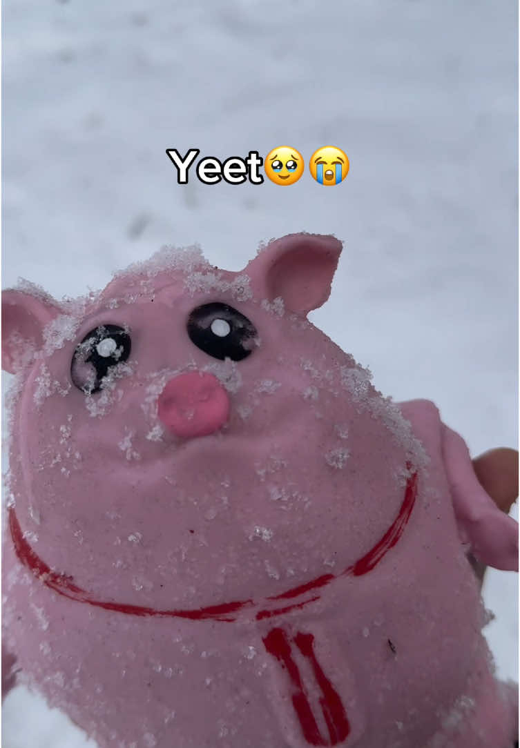 Piggy go flyiing🐽✨