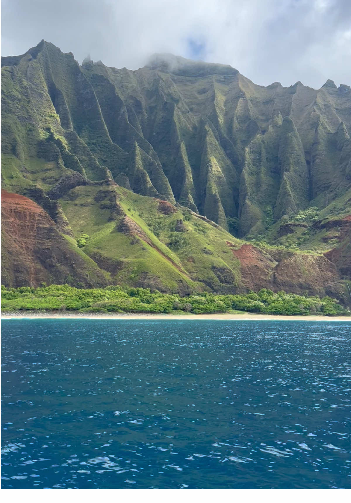 May 🐬🪸🏝️🐚#kauai #hawaii #napalicoast #ocean #heaven #sun#may2024 #travel #adventure #fyp #beauty #befree #dolphins #nature #explore #princeville #thegreatoutdoors #godsland #tiktoker #thisis4u #free #waves #tiktoktravel 