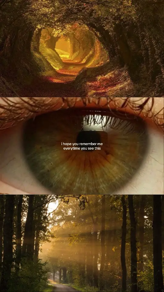 #hazeleyes #forest #hazel #pinterest #fyp #eyecolor