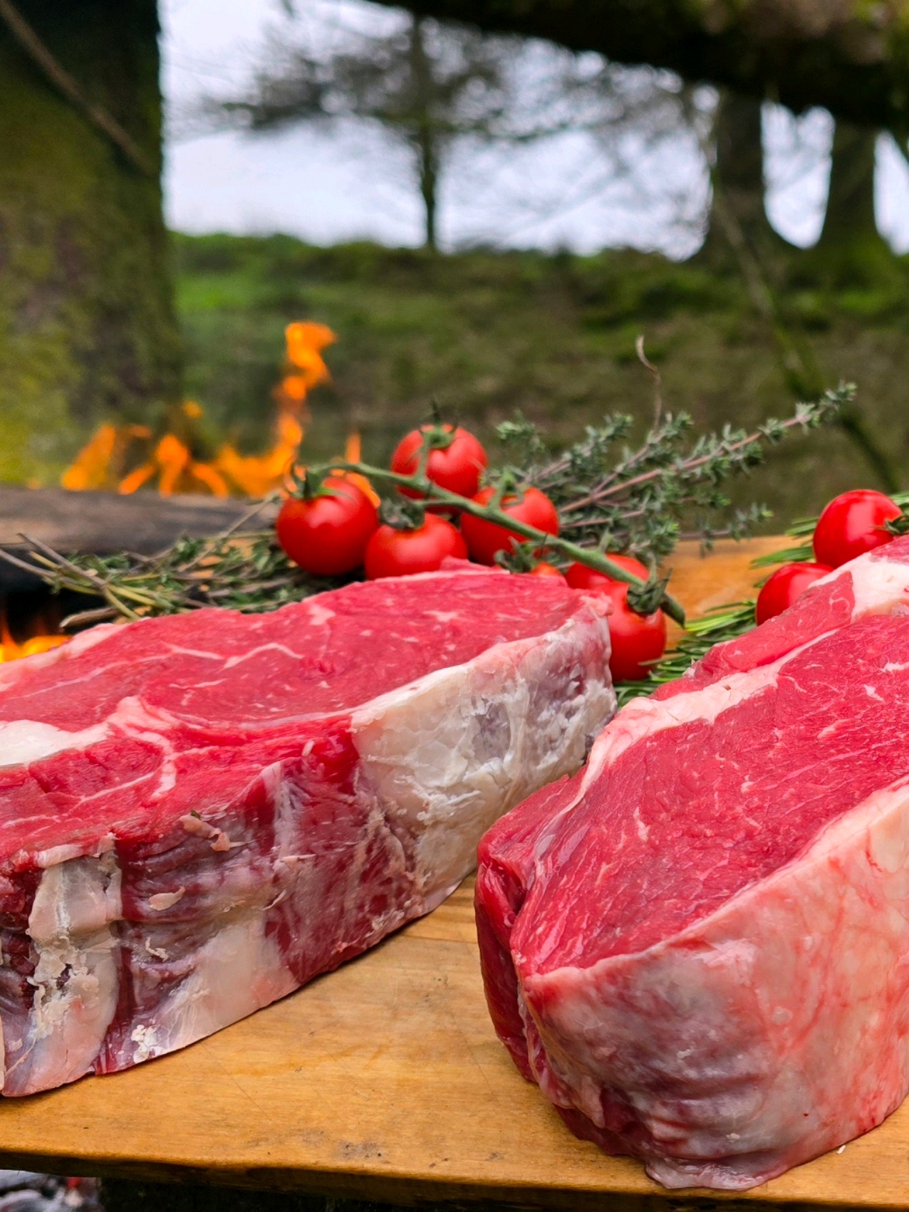 Ribeye on Stone 🔥 link in bio😁 #fyp #asmr #steak #cooking #nature #fire 