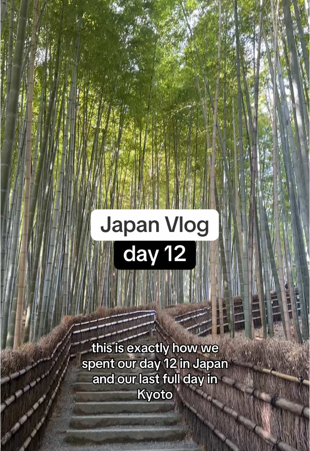 very detailed & informative guide to  day 12 in japan, & our last full day in kyoto 💚 #travel #traditionaljapan #kyoto #Vlog #travelvlog #dailyvlog #arashiyama #hiddengem #temples #otagi #kimonoforest #711 #traveljapan #kyotojapan 