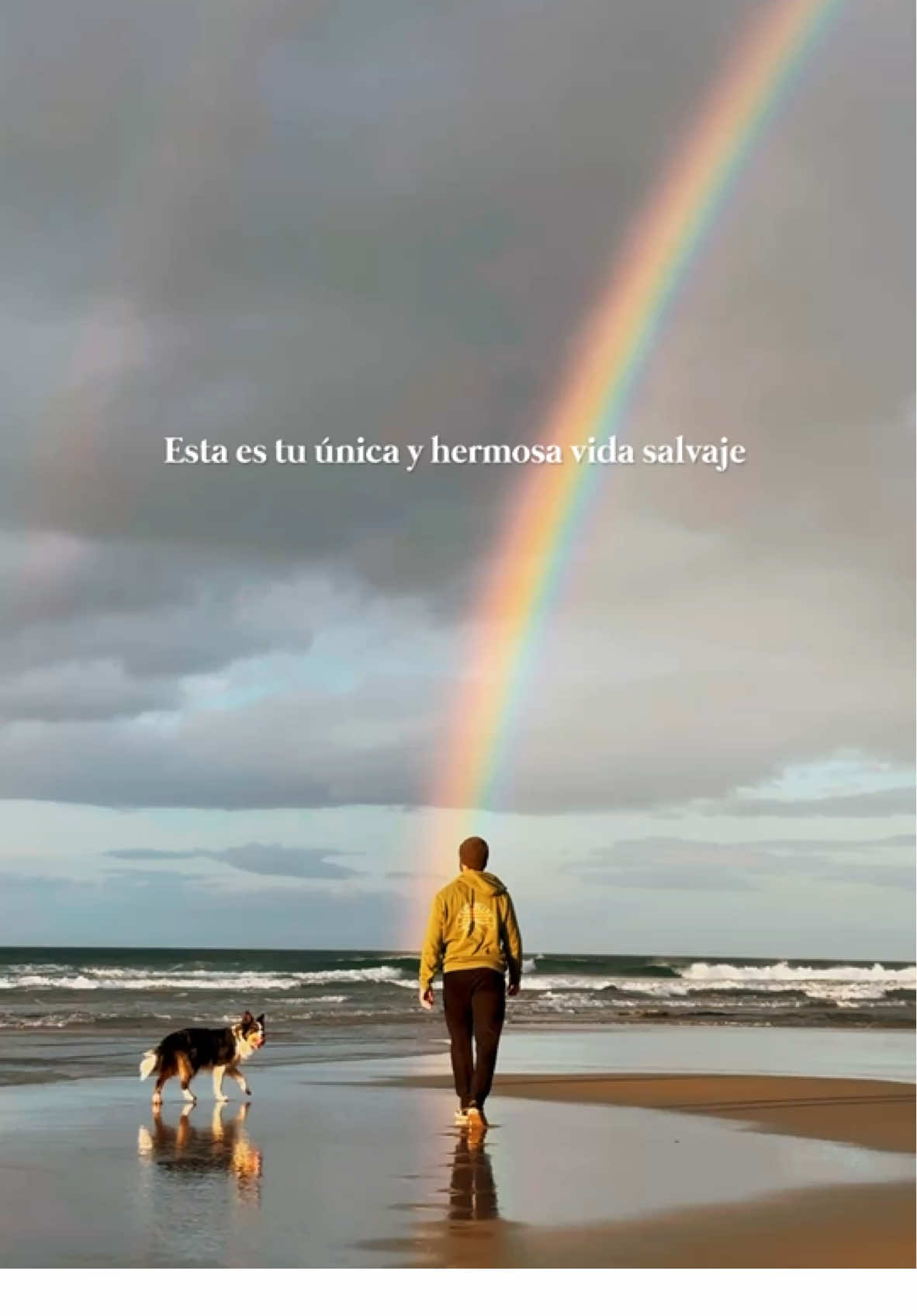 Estar presente para las cosas que importan ❤️ Si algo debemos aprender de nuestros compañeros peludos es la forma en la que aprovechan su paso por este mundo, de la forma más intensa, disfrutando únicamente del momento y poniendo el amor por encima de todo.  Ojalá fuéramos un poco más como ellos, el mundo sería un lugar mejor ❤️🐶. #viajarconperro #miperroyyo #amorperruno 