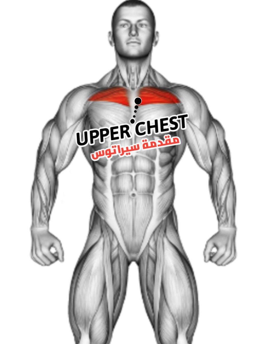 9 Upper Chest Workout Routine #chestworkout #chestexercises #Fitness #workout 