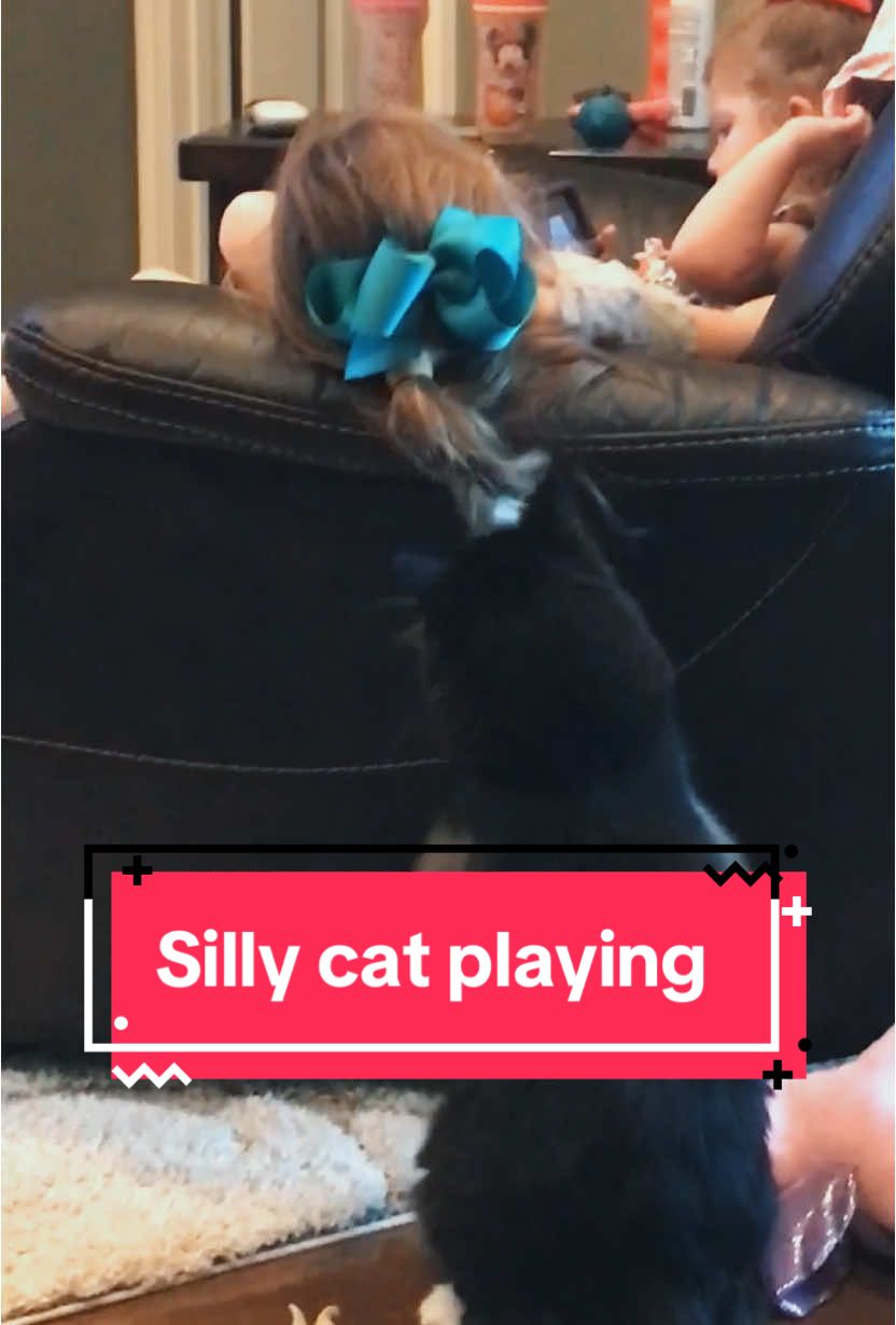 #funnykids #catsplaying #funnycats 