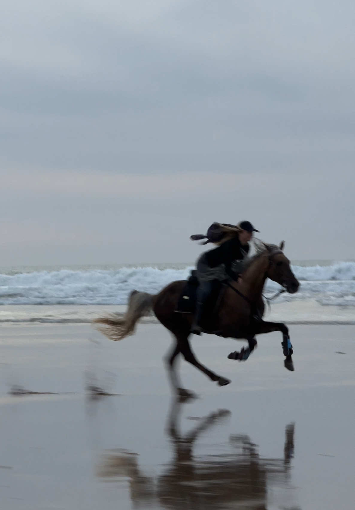 Can you feel this vibe ..?  Wait for see the real speed 😈🚀 Sayf my boy ❤️  #morroco #horseriding #hothorse #freedom #horsegirl #stallionsoftiktok #sunset 