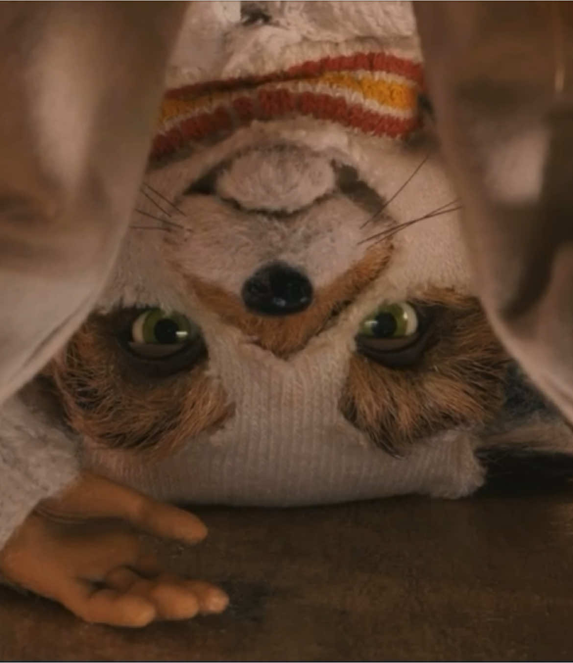 ash my love #wesanderson #fantasticmrfox #edit 