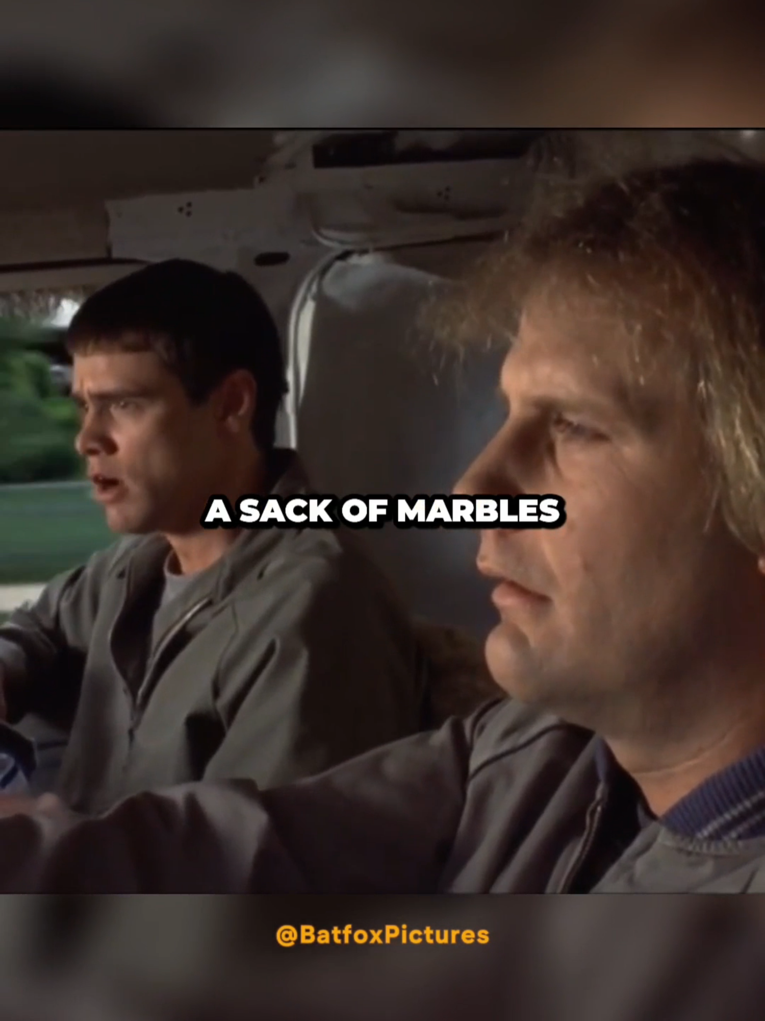 DUMB AND DUMBER - YOU SOLD MY DEAD BIRD TO A BLIND KID? #DUMBANDDUMBER #JIMCARREY #COMEDY #MOVIE