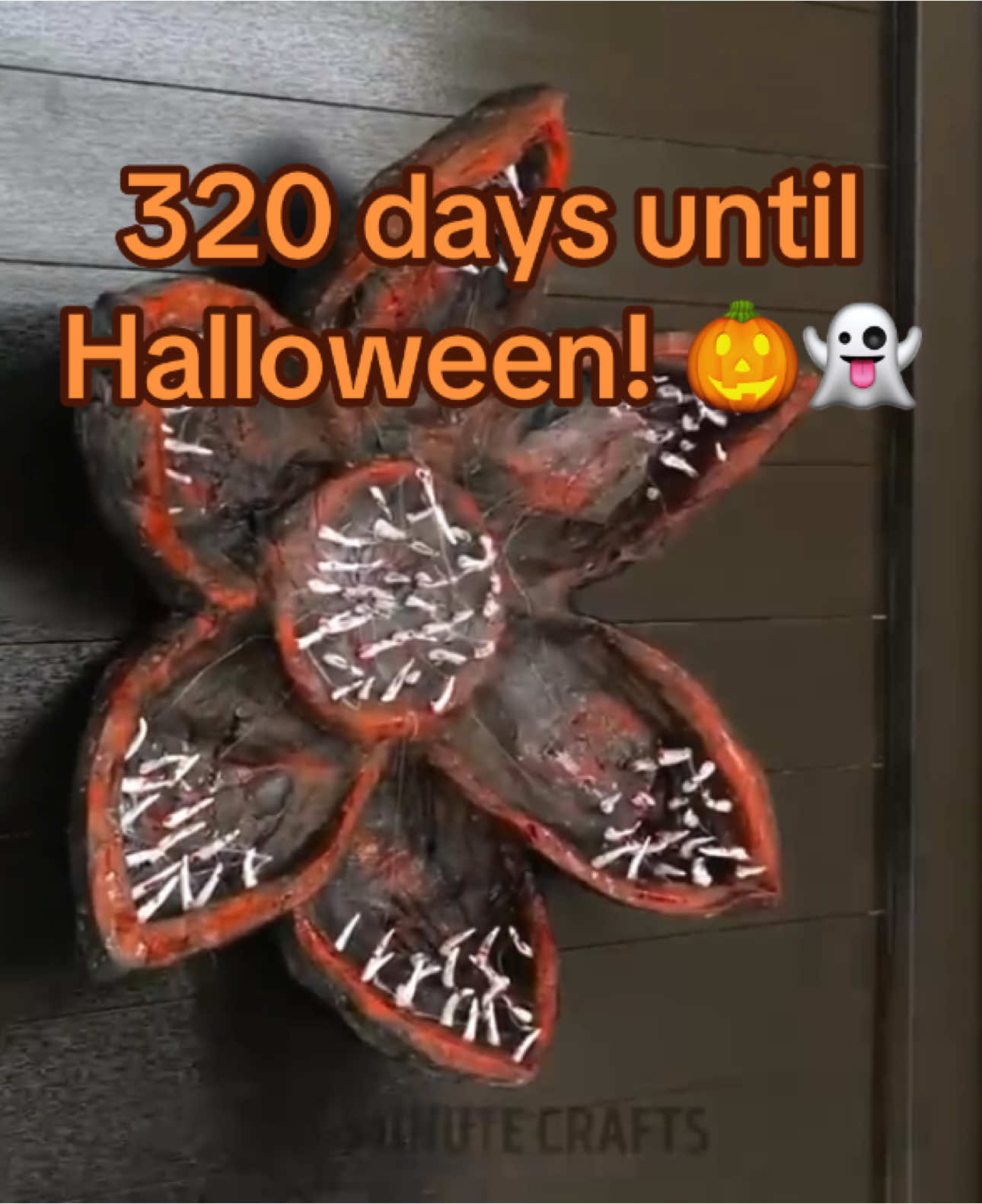 320 days until #halloween #spookyszn  #spookyseason  #autumn #fall  #october  #spooky  #halloweencountdown  #autumnvibes #fallvibes  #fallaesthetic  #autumnaesthetic  #pumpkin  #pumpkins #pumpkinspice  #candy  #sweettooth  #horror  #scary #halloweenparty  #autumnleaves  #spookay  #ilovehalloween #monsters  #ghosts  #halloweencostume  #halloweendecor #halloweendecorations  #2025 #halloween2025 