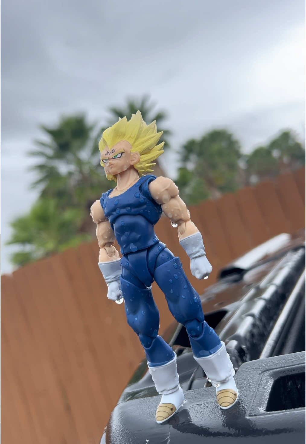 Nueva cuenta / New acount #shfiguarts #majinvegeta #vegeta #shf #supersaiyan #dragonball #actionfigures #principevegeta #posingfigures #supersaiyan2 #majinbu #figfam #dragonballz #goku 