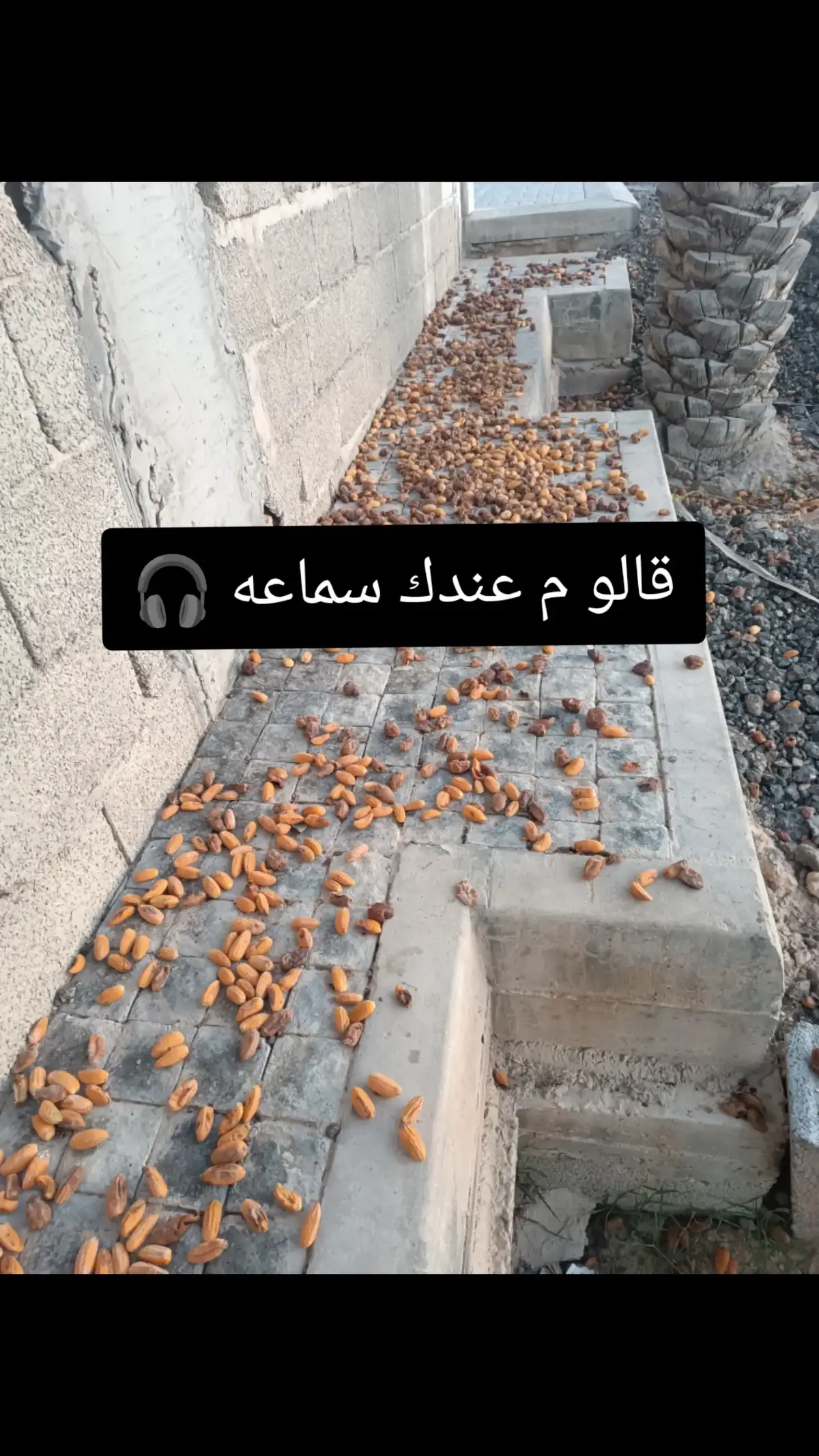 قالو م عندك سماعه 🎧