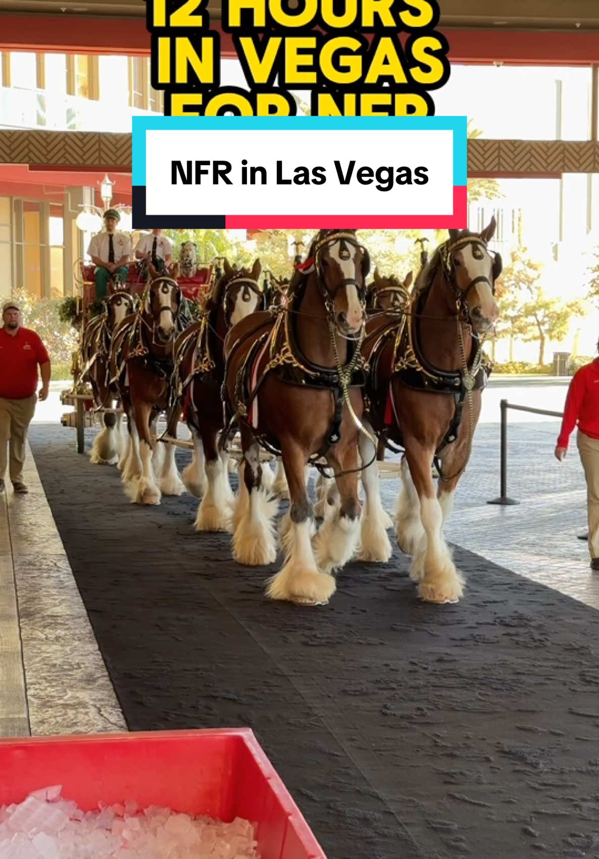 Spending 12 hours in #Vegas for @lasvegasnfr week is nothing but fun. Every second counts at 📍@Resorts World Las Vegas  @Zouk Group Las Vegas  #LasVegas #Vegas #NFR #VegasEvents