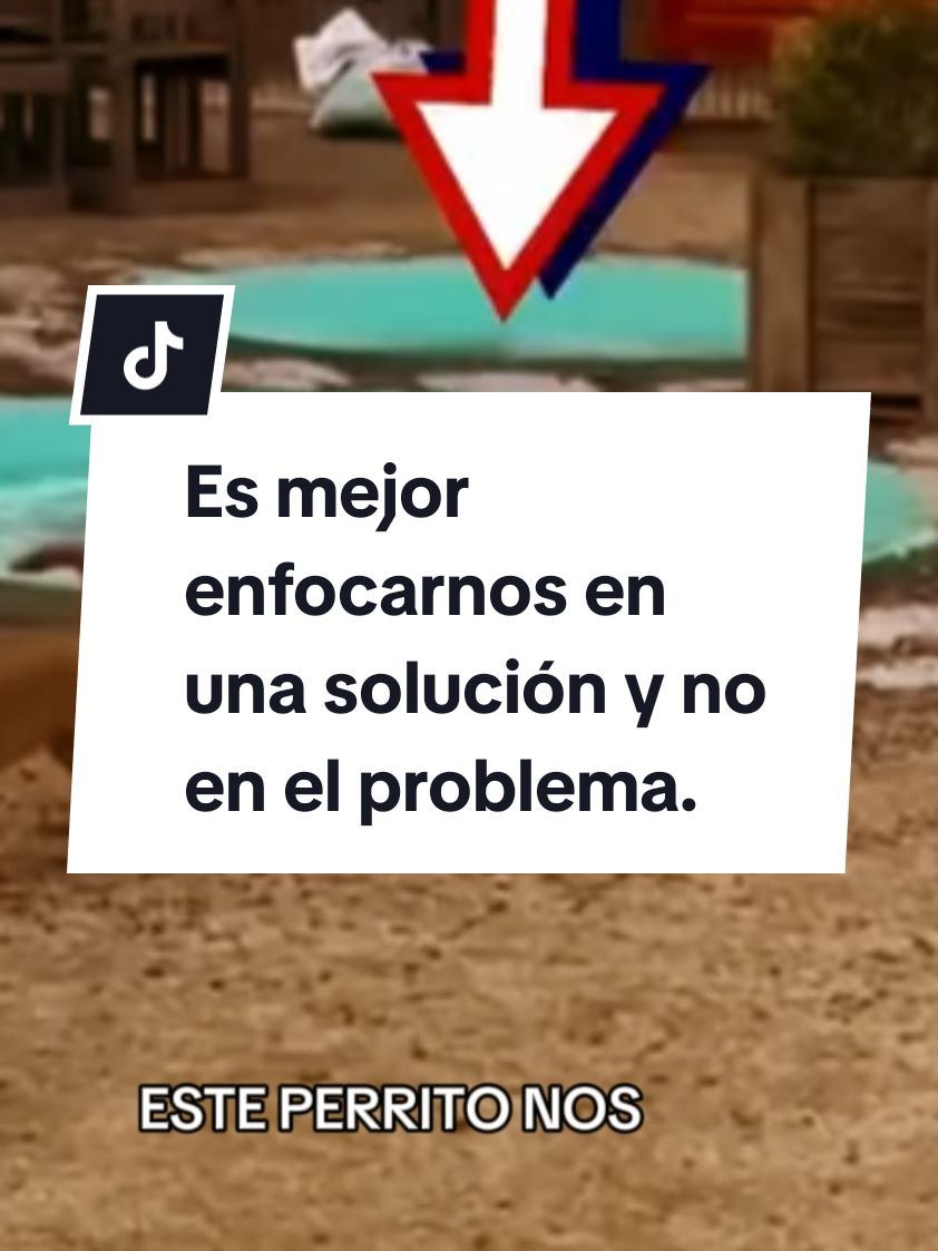 Es mejor enfocarnos en una solución y no en el problema. Todos somos capaces de resolver, solo que habeces nos frustramos y no logramos encontrar una solución. #solucion  #inteligencia  #capas 