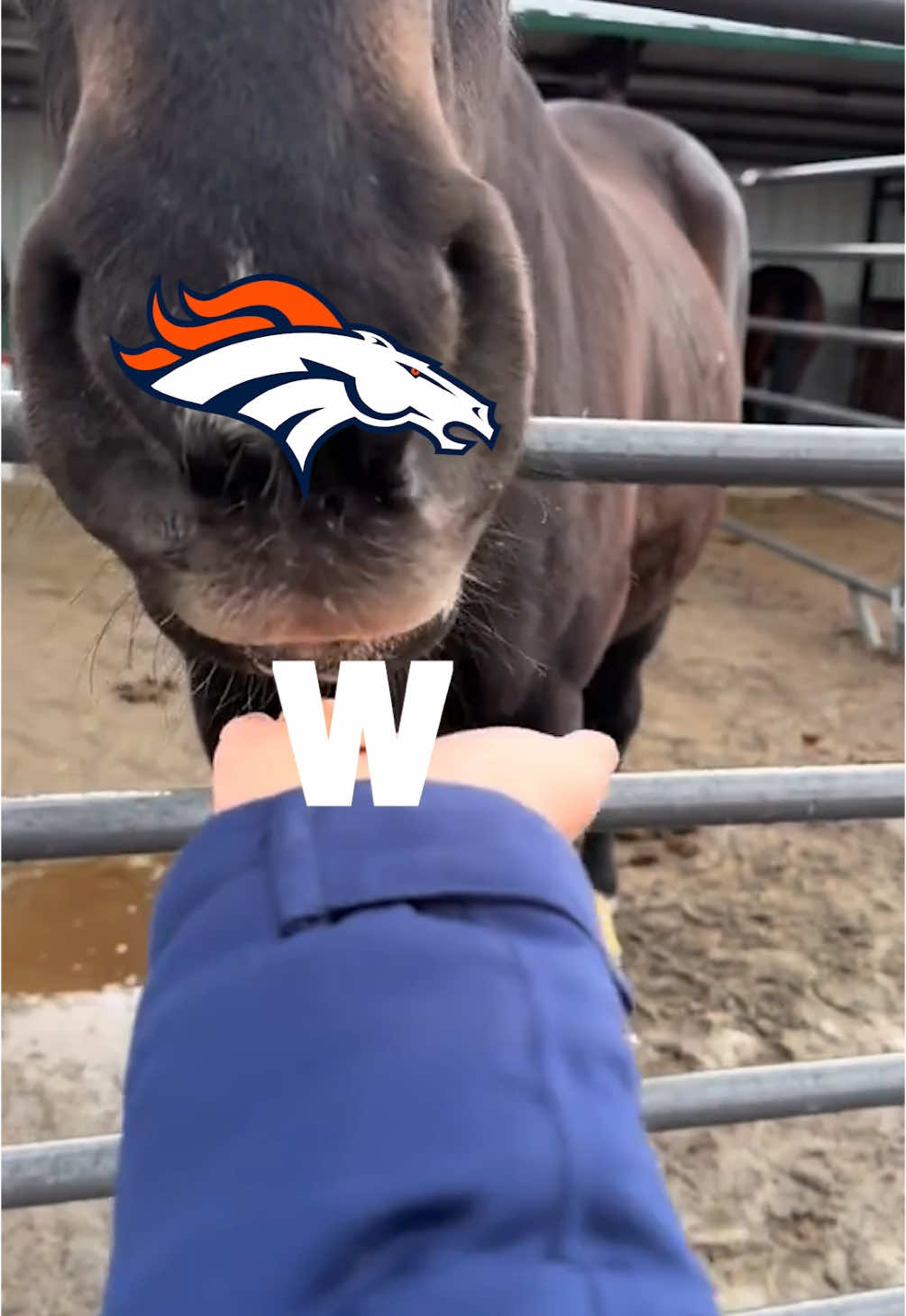 Got the W. #broncos #nfl #footballtiktok #football #win #dub