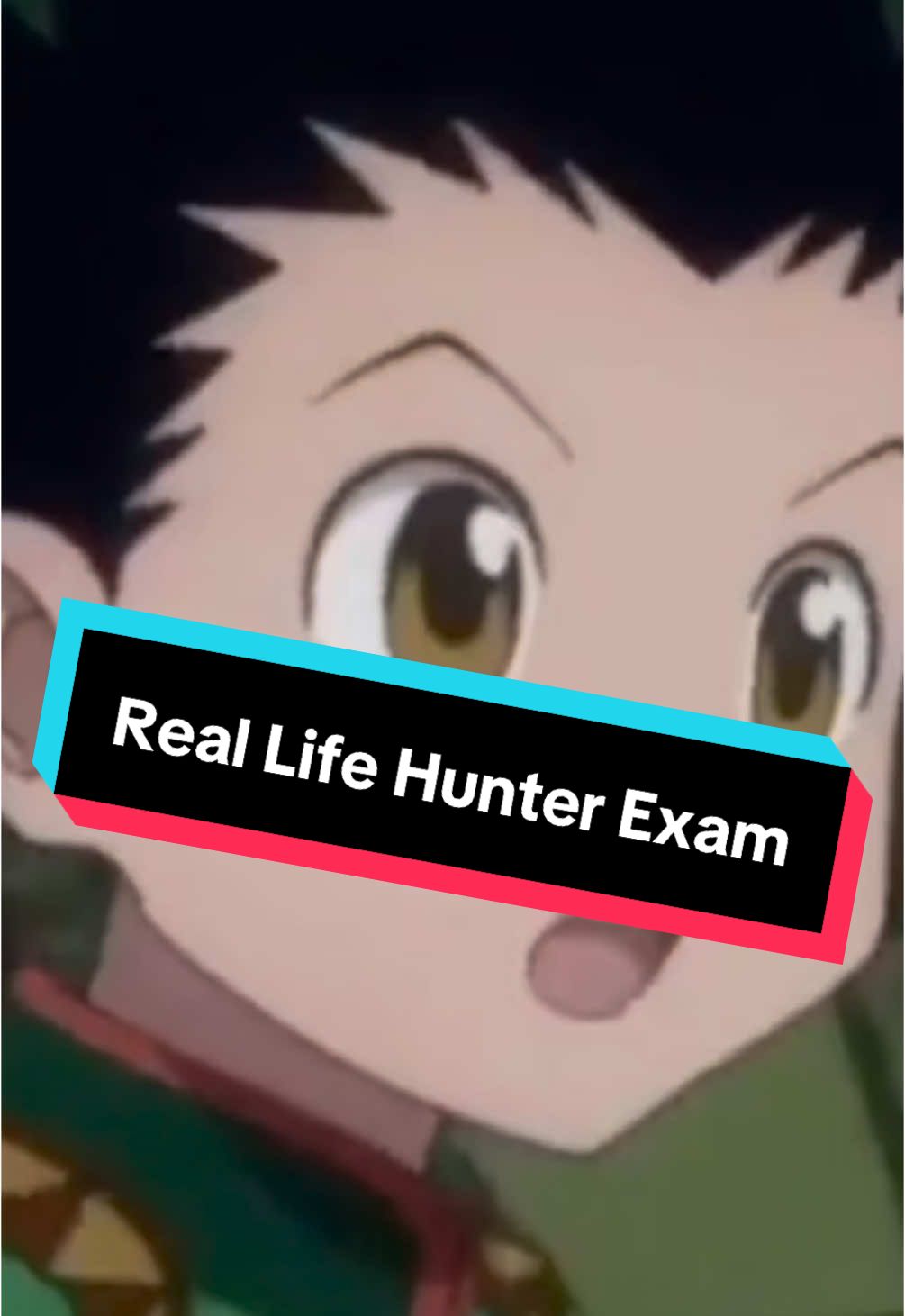 Would you go to the real life Hunter Exam? #hxh #hunterxhunter #anime #gon #killua 