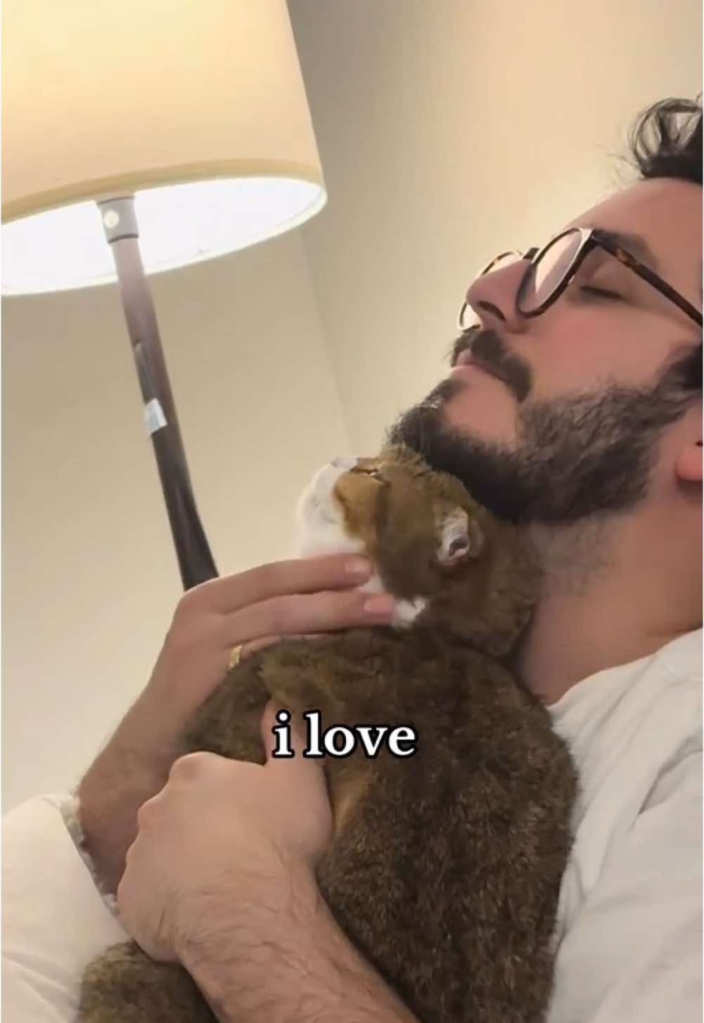 Ily both 🥰 sincerely, spare human #cat #catsoftiktok #catlover #cuddlycat #girlcat #daddysgirl 