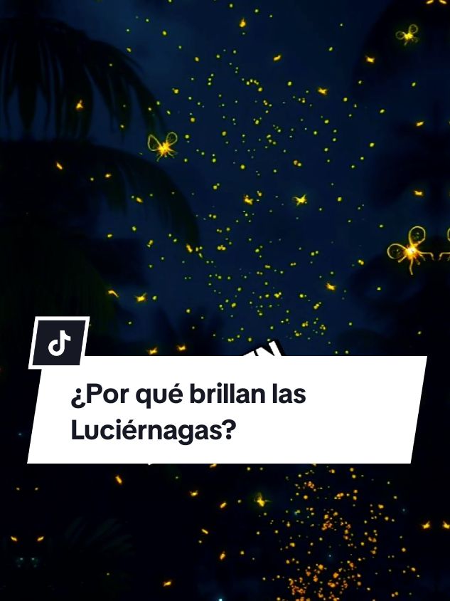 ¿Por qué Brillan las Luciérnagas? Te lo explico en 60 segundos!! #biologia #ciencias #curiosidadesciencitificas #datoscientificos #cienciaentiktok #cienciatiktok #biologiafacil #cienciafacil #ciencia #biologia 