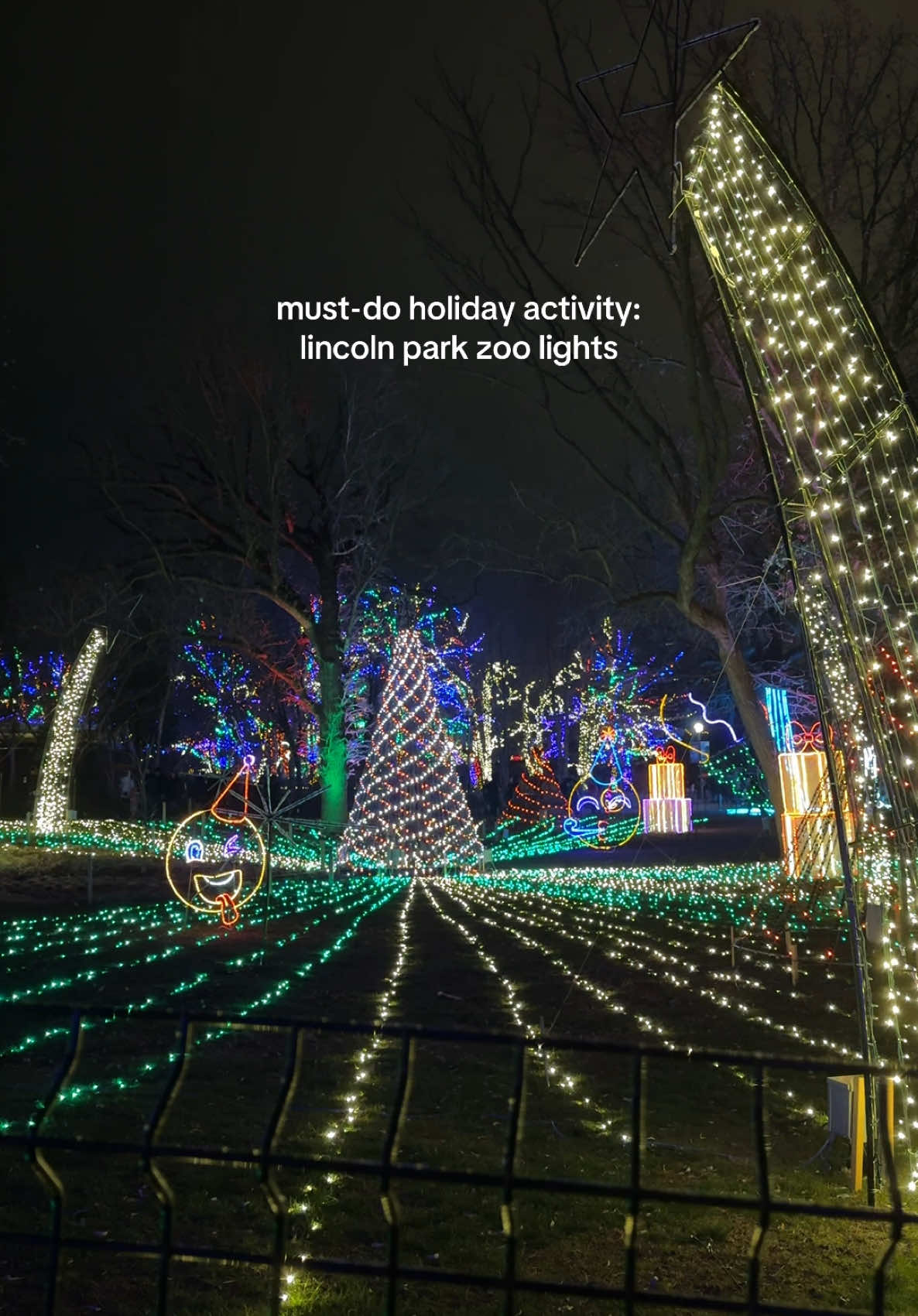 my only vocabulary during this was “so pretty” and “WOW” 🫢 it’s also only $10 per ticket or free on monday! #lincolnparkchicago #zoolights #christmaslights 