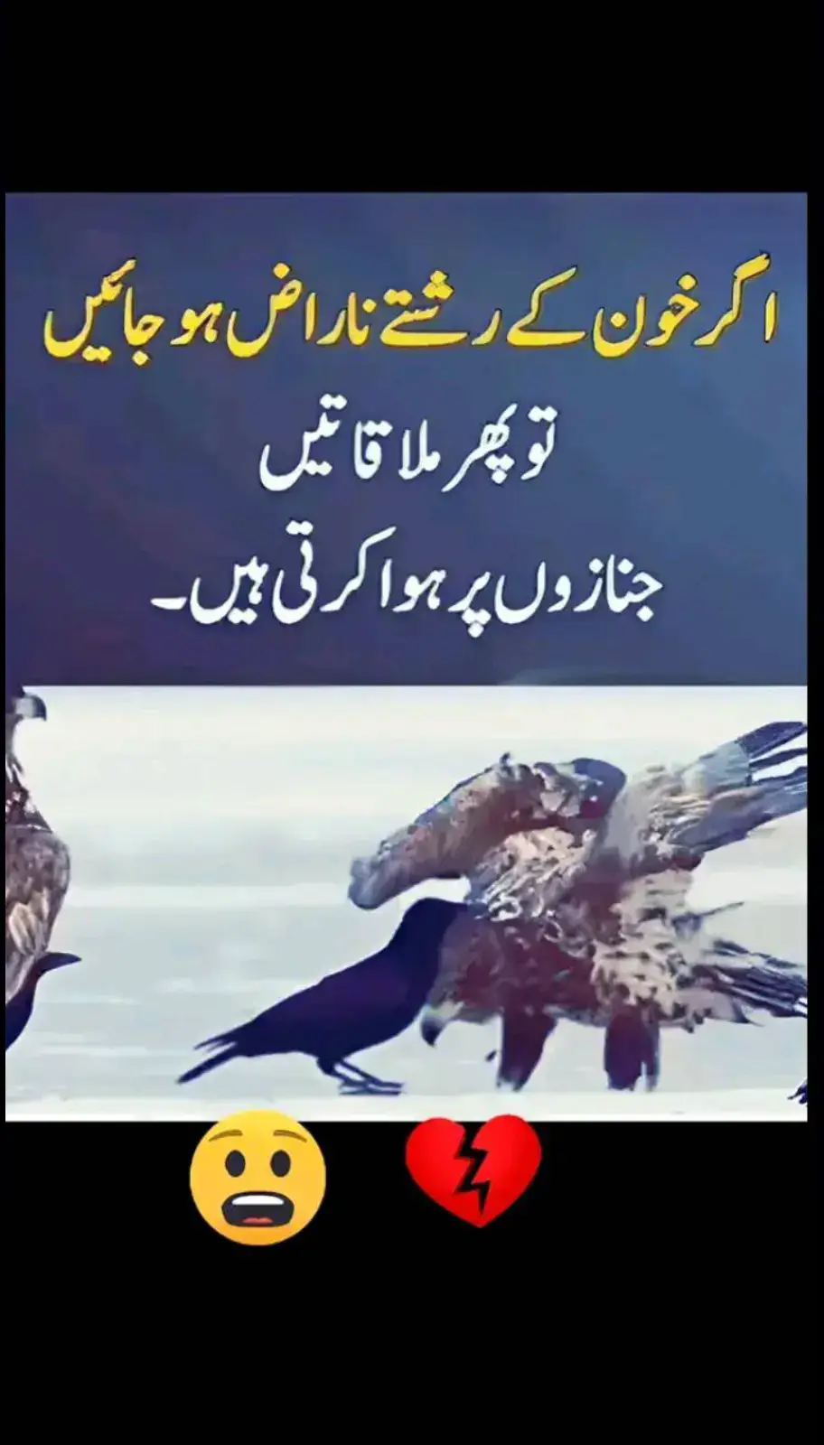 #foruyou #forupage #viralvideos #malikshahidwahocha786 #unfreezemyacount #viral #tik_tok #potraitphotography #forupage #potraitphotography #newtrend #newtrend #viral_video #standwithkashmir #newtrend 