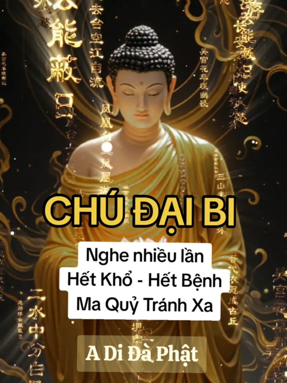 Chú Đại Bi - #binhan #chualanhtamhon #xuhuong #phatgiao #phatphap #phatphapnhiemmau #phatphapvobien #thien #chualanh  #hieuvetraitim #adidaphat #tinhthuc #cuocsong #chame #tamlinh #nammoadidaphat #nammobonsuthichcamauniphat