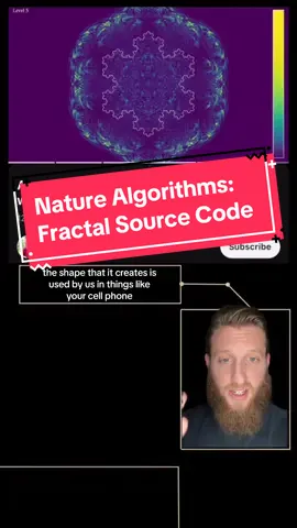 Cant unsee it. The utility of fractals is actually pretty impressive. I always thought they were just cool and trippy to watch but the levels at which theyre used in engineering and computer science is absoltely staggering. One of my favorite parts of this simulation 😇 #fractal #fractals #nature #kochsnowflake #stem #engineering #sacredgeometry #geometry #snowflake #trees #shoreline #matrix #esoteric #spirituality #spiritual #wakaan #fyp 