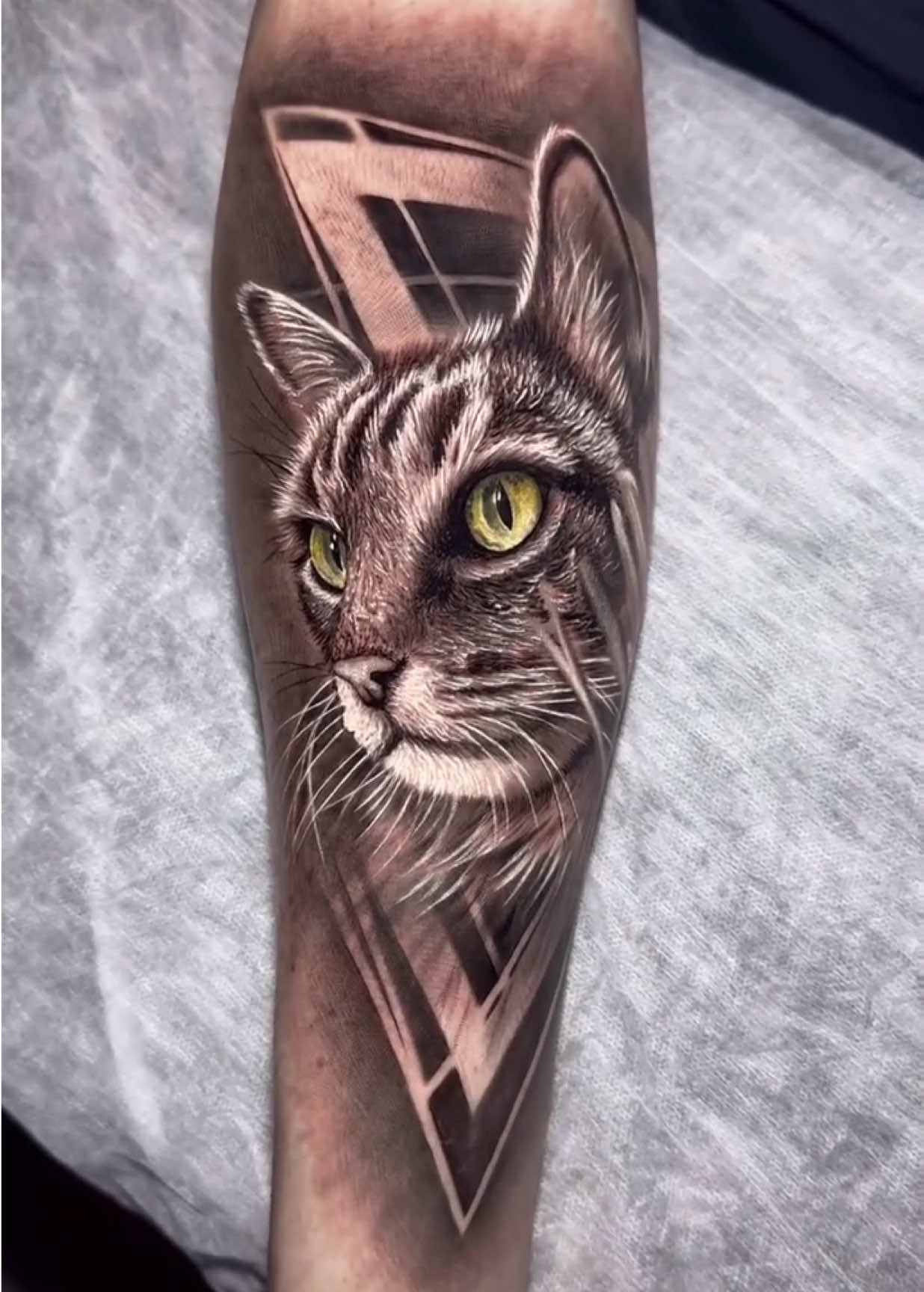 Artist • @filipeamorim ⚜️GATO ⚜️ #tattoo #tattoos #tattooart #tattooartist #ink #fyp #fypシ゚viral 