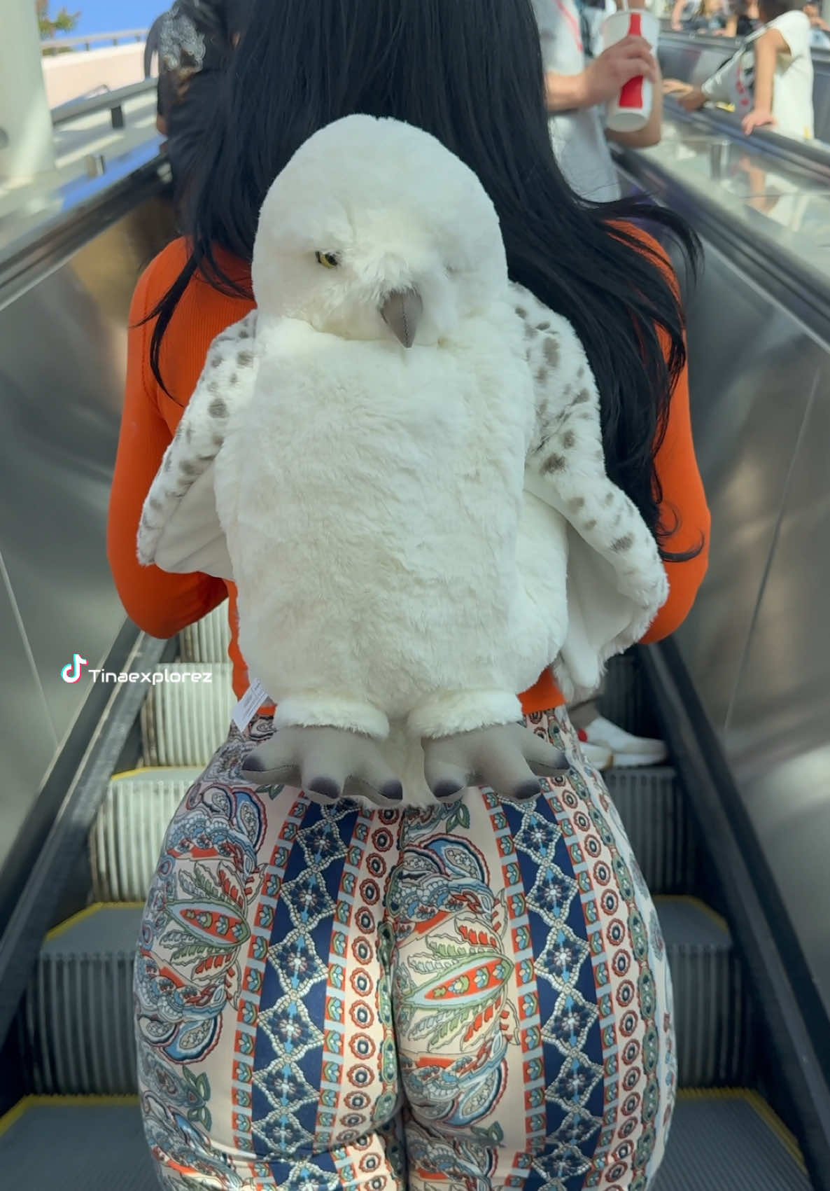 I love Hedwig hes so cute! #backpack #hedwig #viralvideo #fypシ #ootds #universalstudioshollywood 